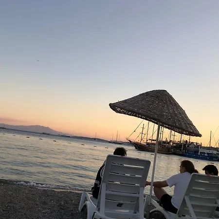 فيلة Plaja Cok Yakin Tarihi Tas Ev